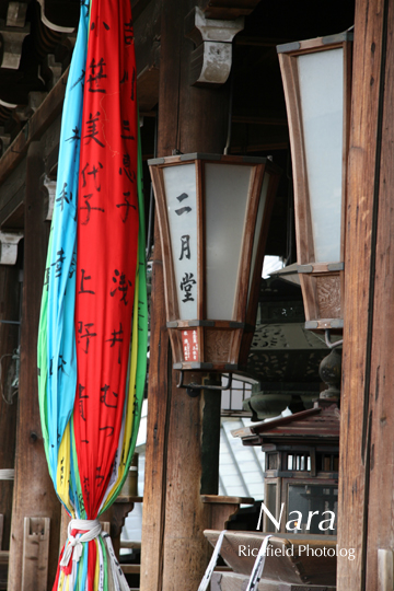 Ricefield Photolog 07年2月 Iœf Uze I U T J