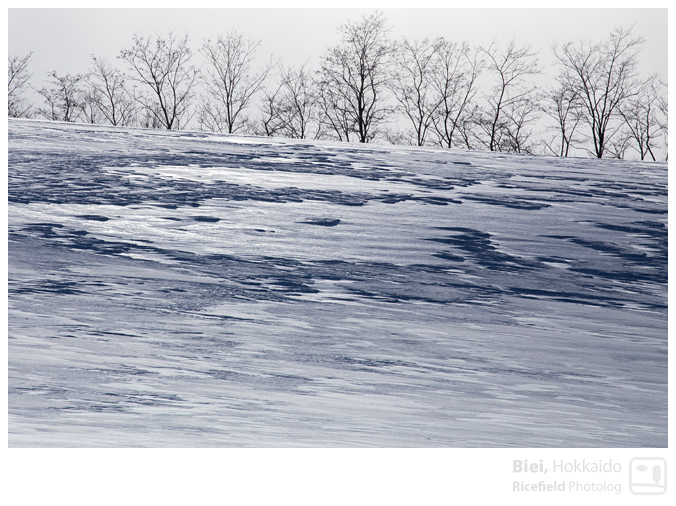 201303_6D_00604.jpg