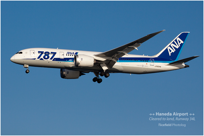 Boeing 787.jpg
