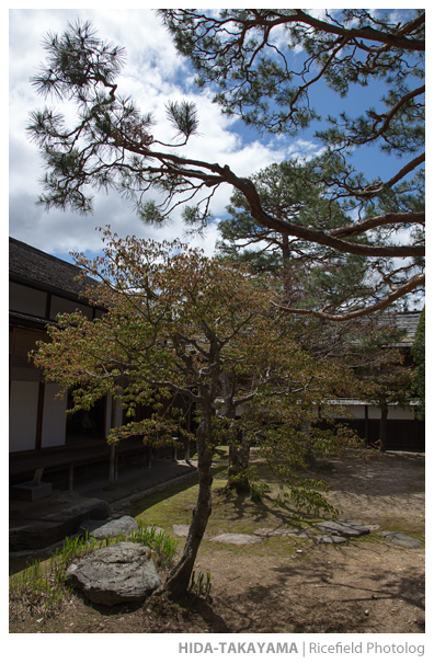 201305_6D_01918.jpg