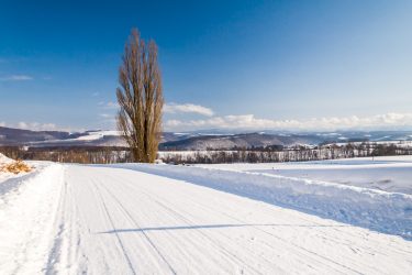 冬の北海道｜新雪と青空の美瑛