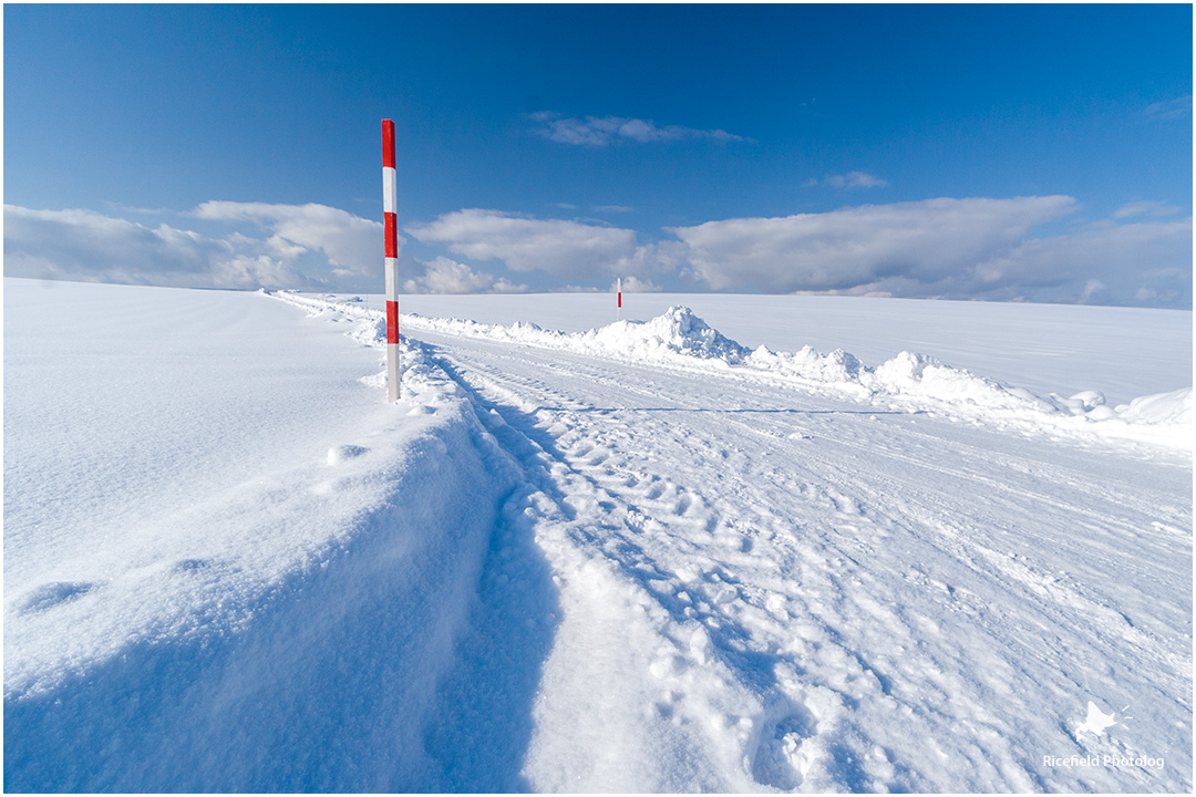 雪の美瑛を散歩する