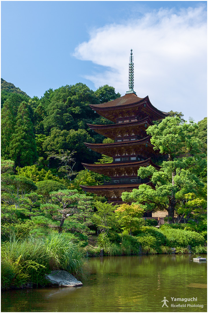 瑠璃光寺の五重塔