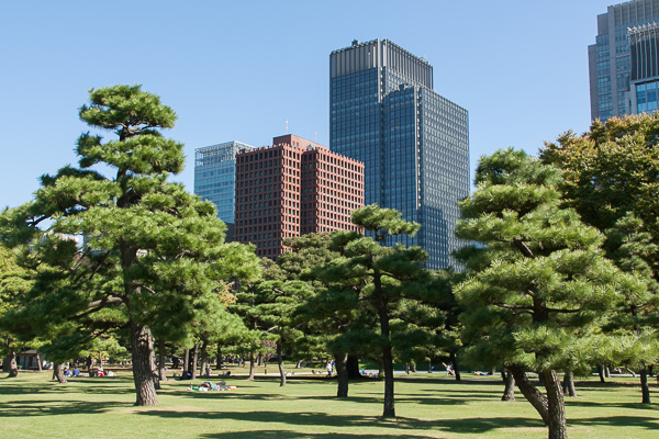 秋の東京散歩｜皇居外苑