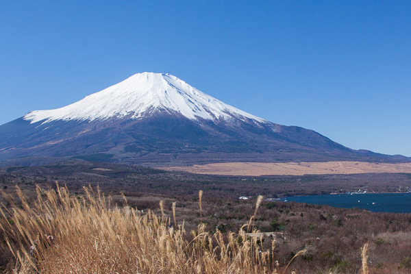 初冬の富士山｜パノラマ台・本栖湖・朝霧高原