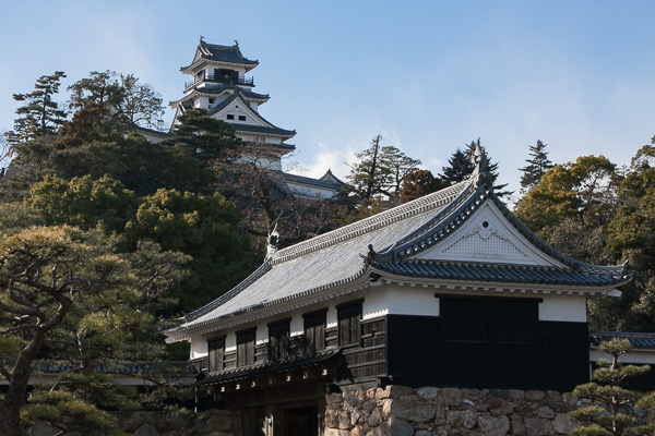 ちょっと街歩き・徳島と高知