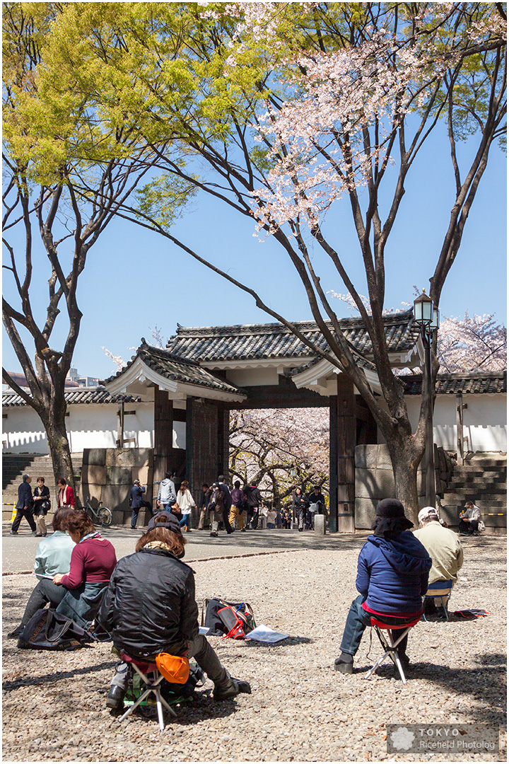 皇居北の丸公園 田安門から入る