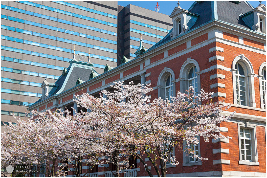 桜田門の法務省レンガ棟と桜