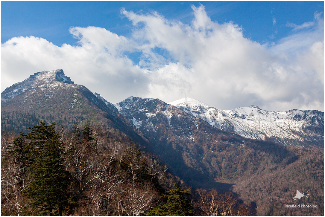 黒岳