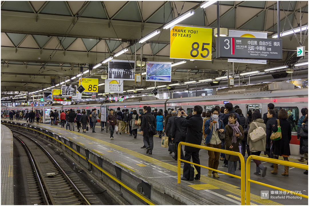 東横線渋谷駅