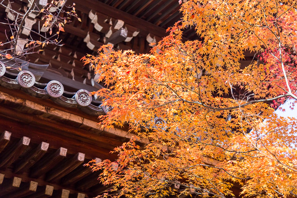 紅葉の京都｜真如堂・永観堂・南禅寺