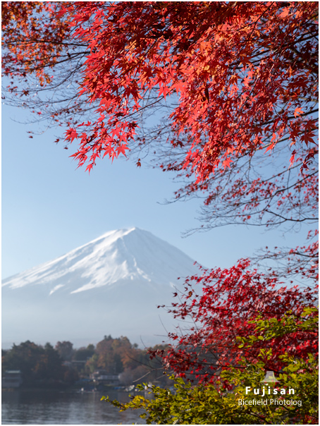 富士山