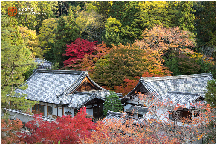 南禅寺