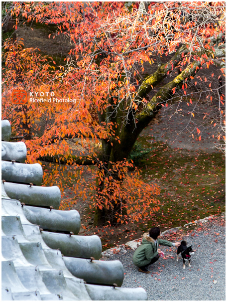 南禅寺