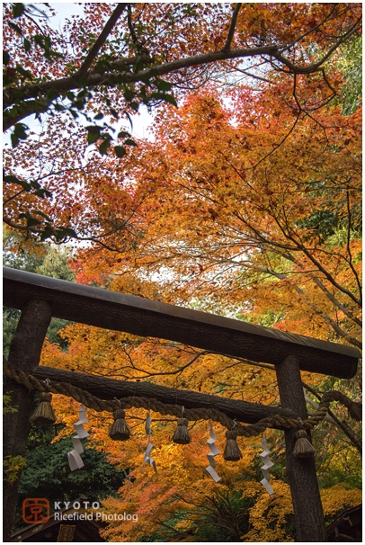 野宮神社