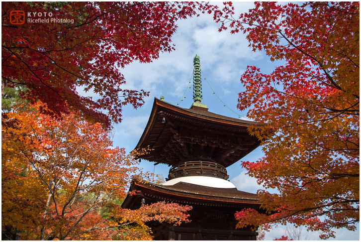 常寂光寺