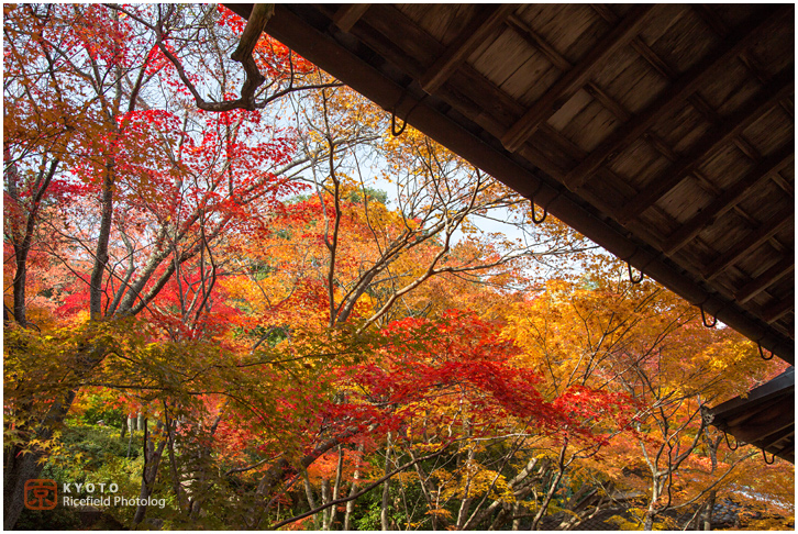 常寂光寺