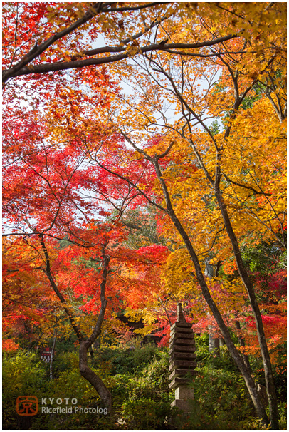 常寂光寺