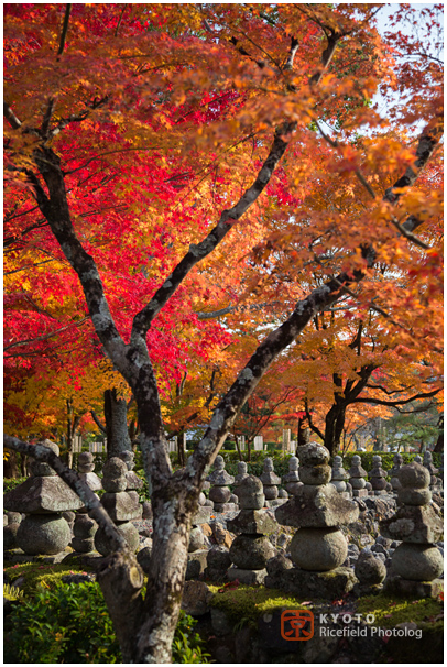 化野念仏寺