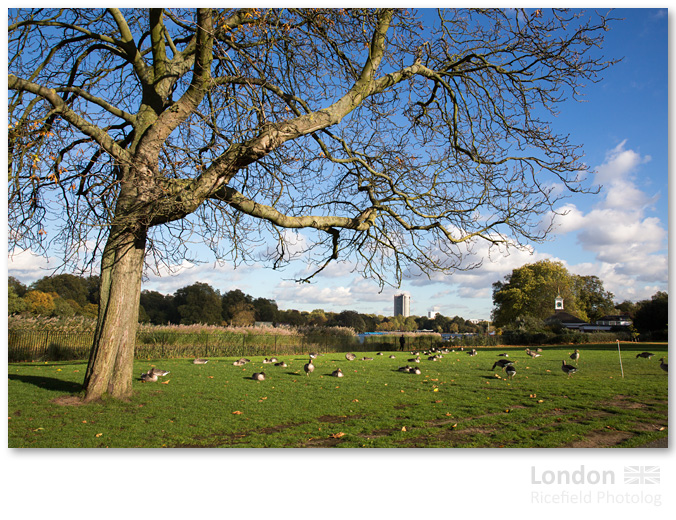 LONDON Hyde Park