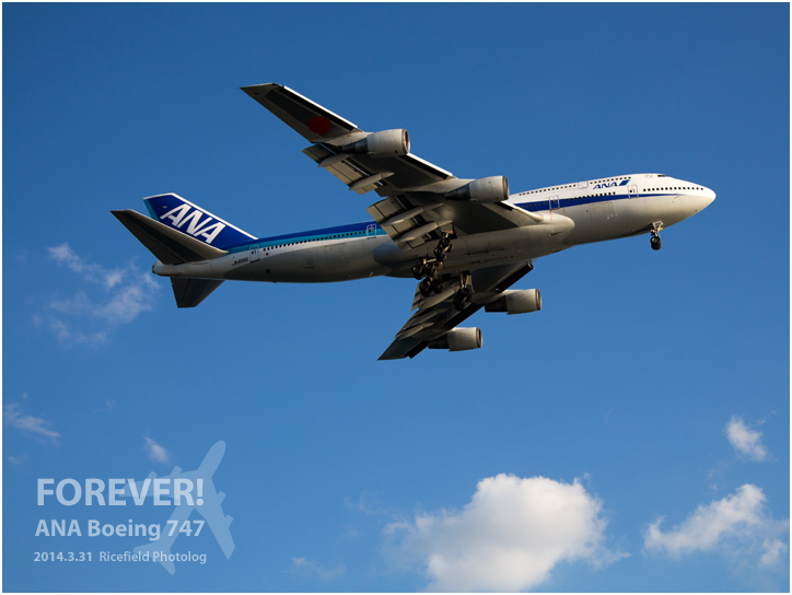 ANA Boeing 747