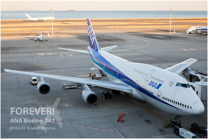 ANA Boeing 747