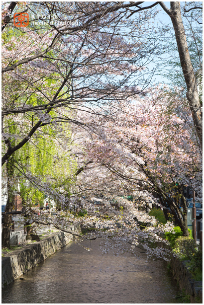 木屋町