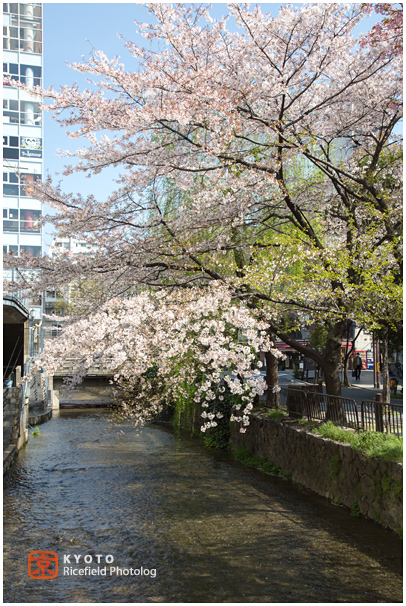 木屋町