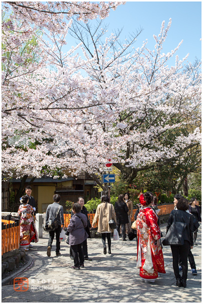 祇園白川