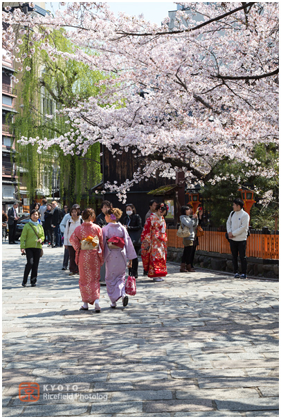 祇園白川