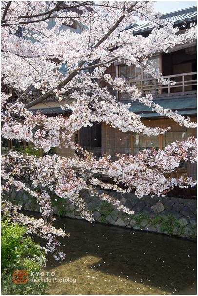 祇園白川