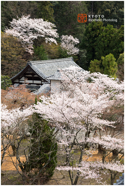 京都　南禅寺