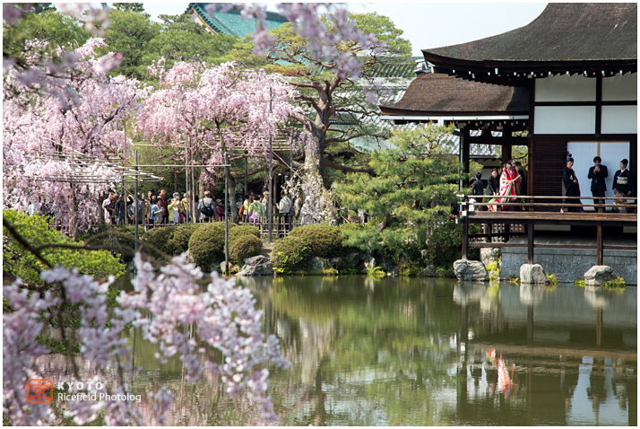 京都　平安神宮