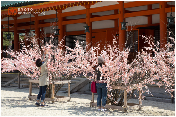 京都　平安神宮