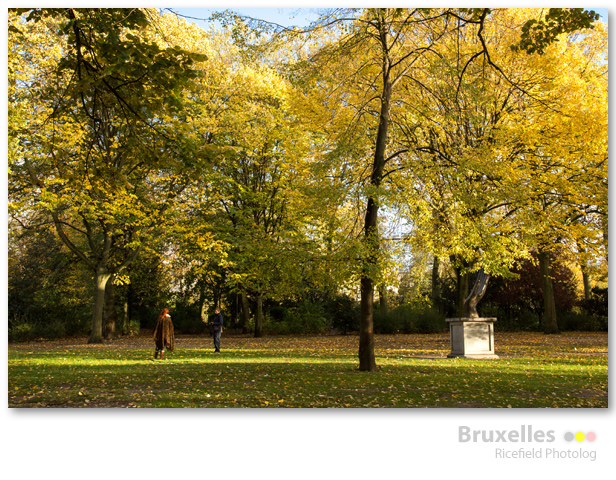 Bruxelles Brussel