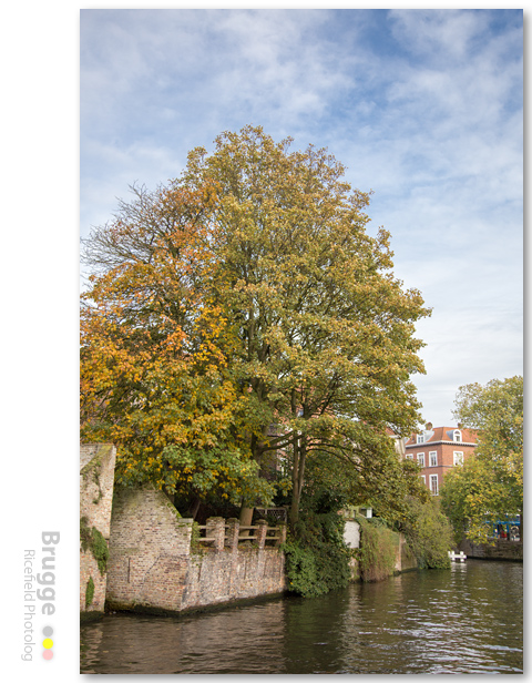 Brugge