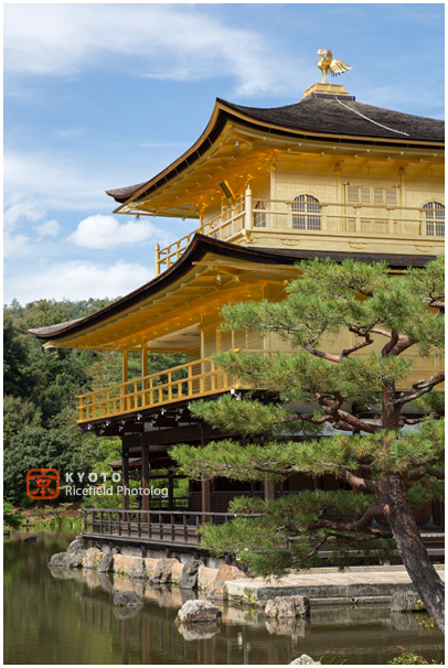kinkaku-ji 金閣寺
