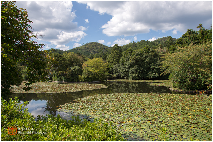 龍安寺