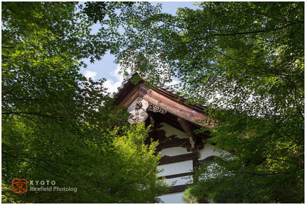 龍安寺