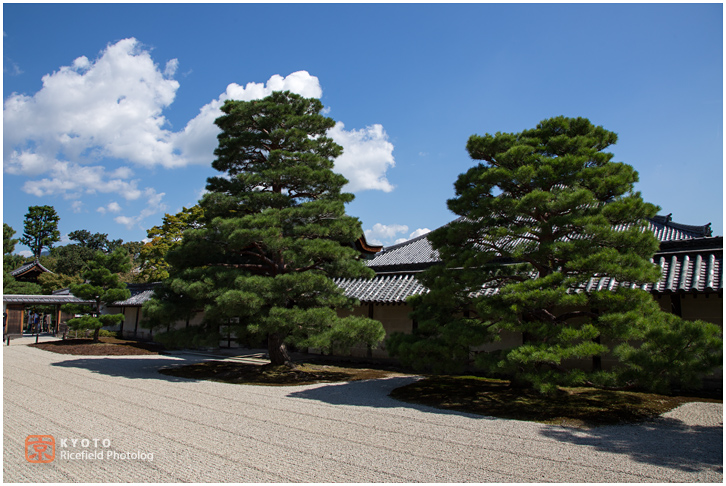 天龍寺