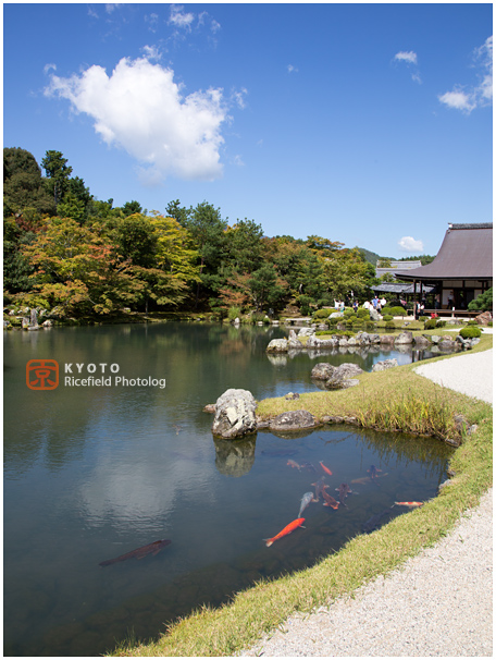 天龍寺