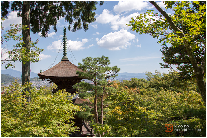 常寂光寺