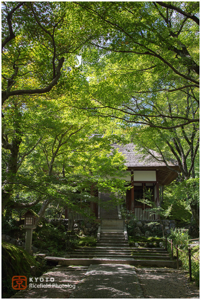 常寂光寺