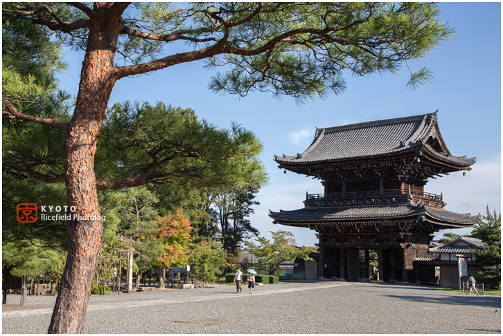 清涼寺