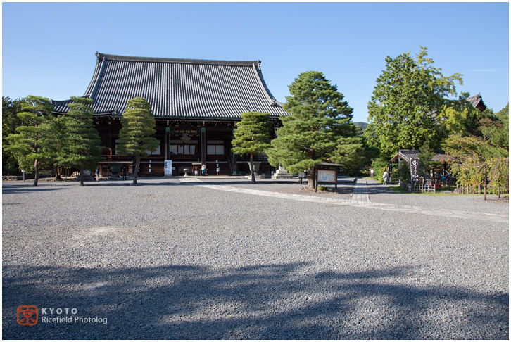 清涼寺