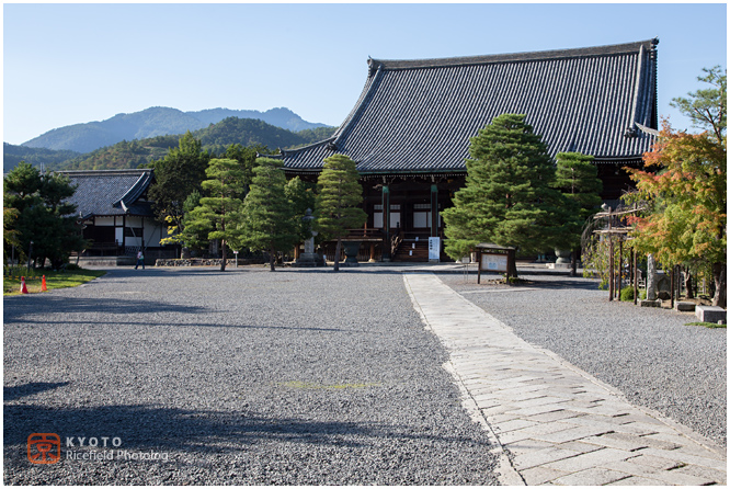 清涼寺