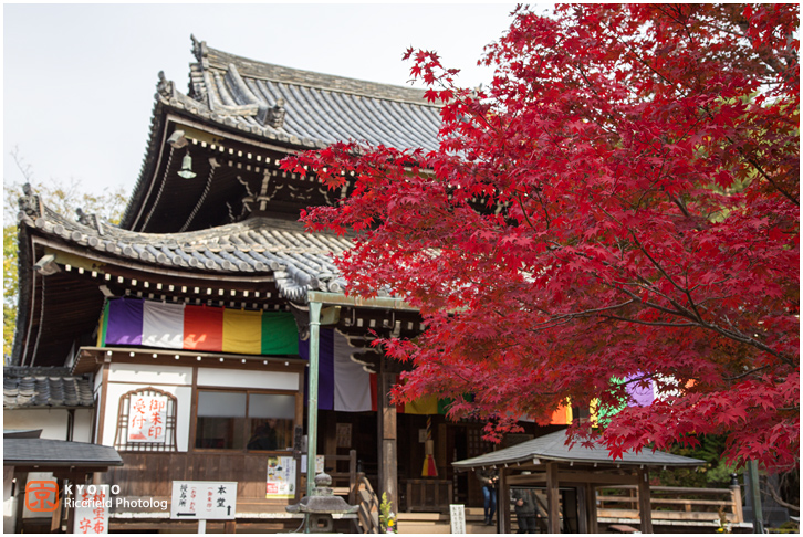 今熊野観音寺