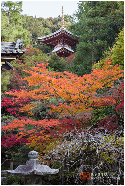 今熊野観音寺