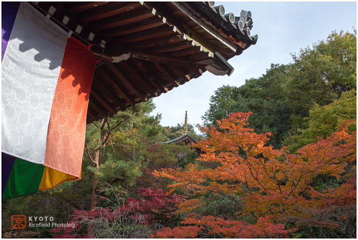 今熊野観音寺