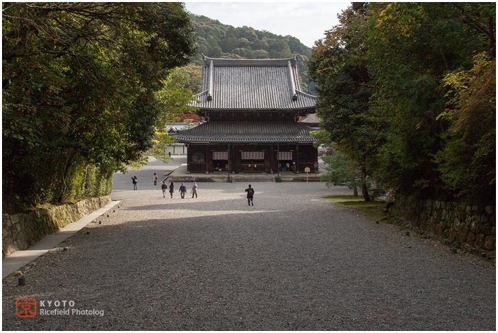 泉涌寺